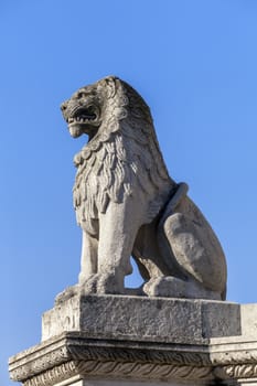 Stone lion statue in Budapest, Hungary, view from below