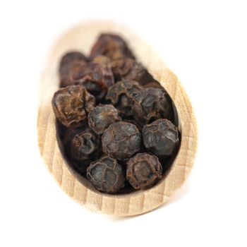 Dried seeds of black pepper on a wooden spatula. Soft focus. Isolated on white.