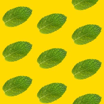 Seamless pattern of fresh green mint leaves on vivid yellow background