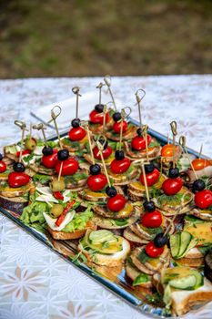 Beautifully decorated catering banquet table for wedding. Catering service buffet plate with canapes and appetizing sandwiches. Buffet catering table food. Sandwiches with meat, tomatoes, cheese, olives, cucumbers and green salads.