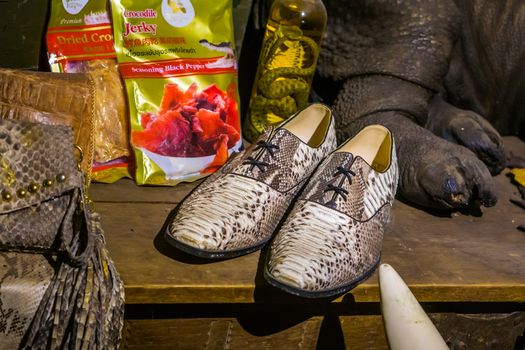 crocodile products in a shopping window, hunting and killing animals for luxury products, Kwadendamme, The netherlands, March 19, 2019