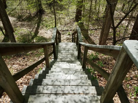 stairs or steps leading down to path or trail with trees