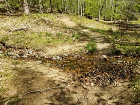 trail or path with mud and water or stream or creek