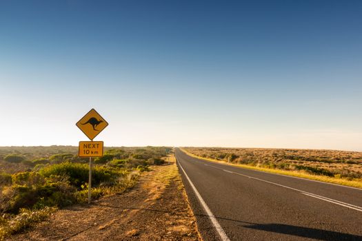  kangaroo crossing road sign warning drivers in  Australia