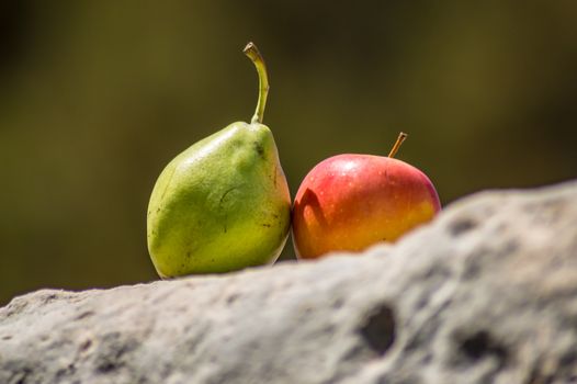 A pear and an apple on a rock facing the sea and a terrace