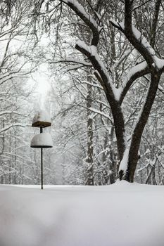 Bird feeder is filled with a foot of snow.