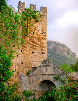 vine tower with ivy plant and crypt with roses castle ninfa .