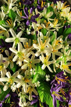 Background of bright purple and white flowers with leaves