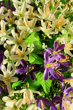 Background of bright purple and white flowers with leaves