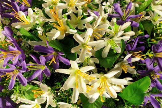 Background of bright purple and white flowers with leaves