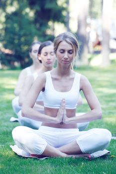 Yoga in the park, group of young women practicing yoga and meditating in the morning