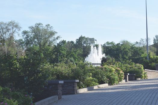 City Park with flowers and trees Summer season