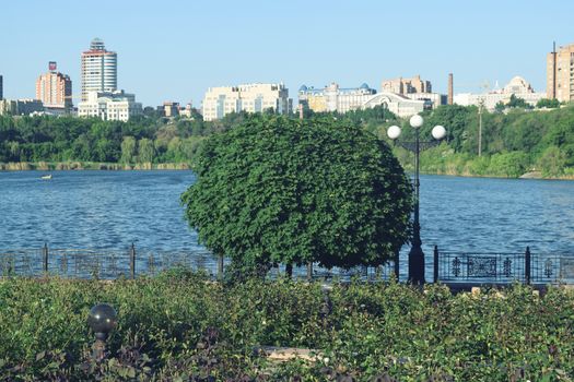 City Park with flowers and trees Summer season