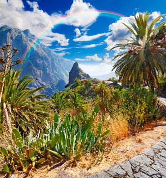 Masca valley.Canary island.Tenerife.Scenic mountain landscape.Cactus,vegetation and sunset panorama in Tenerife