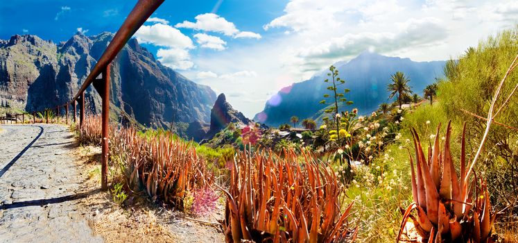 Masca valley.Canary island.Tenerife.Scenic mountain landscape.Cactus,vegetation and sunset panorama in Tenerife