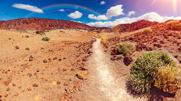 Volcanic mountain scenery, Teide National Park, Canary islands, Spain.Hiking in the mountains and desert