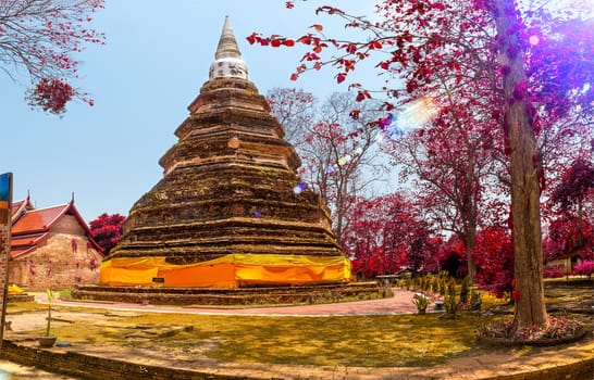 Thailand travels adventures.Scenic wat garden landscape.Landmark ancient culture and religion. 