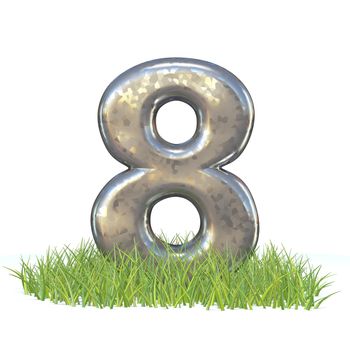 Galvanized metal font Number EIGHT 8 in grass 3D render illustration isolated on white background