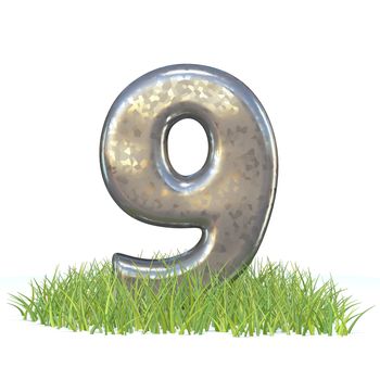 Galvanized metal font Number NINE 9 in grass 3D render illustration isolated on white background