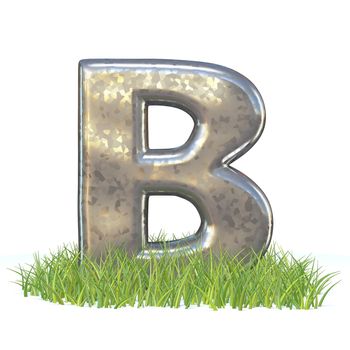 Galvanized metal font Letter B in grass 3D render illustration isolated on white background