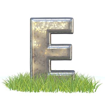 Galvanized metal font Letter E in grass 3D render illustration isolated on white background