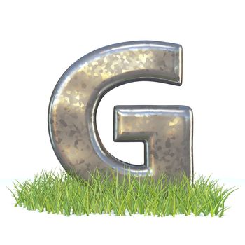 Galvanized metal font Letter G in grass 3D render illustration isolated on white background