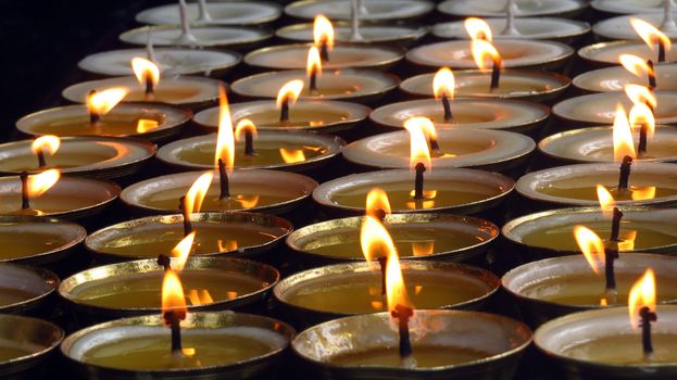 Holy Butter lit inside a Buddhist temple for prayers, similar are also used in Diwali festival for decoration.