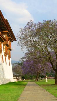 A beautiful path besides a monastery with trees having lavender colored flowers, in Bhutan                               