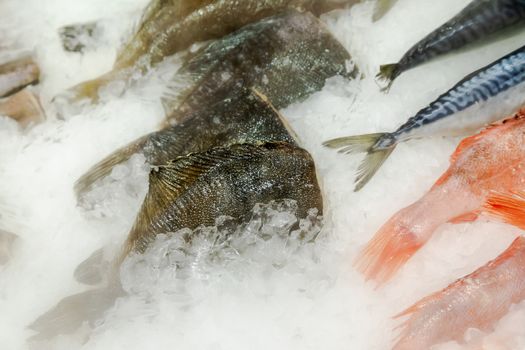 fish for sale on ice in supermarket