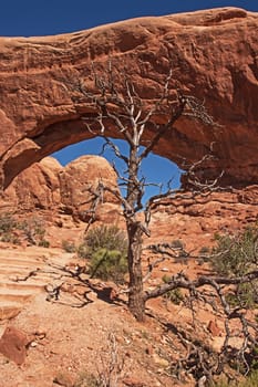 The South Window in the Windows Section of Arches National Park. Utah. USA
