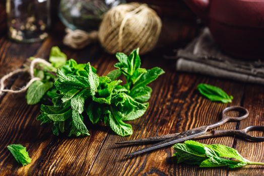 Beam of Mint Bounded with Twine and Rusty Scissors on Wooden Surface.