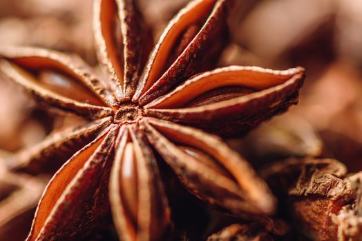 Close Up Background of Star Anise Fruits and Seeds.