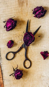 Rusty Scissors with Dry Rosebuds and Few Petals on Wooden Surface. Vertical Orientation.