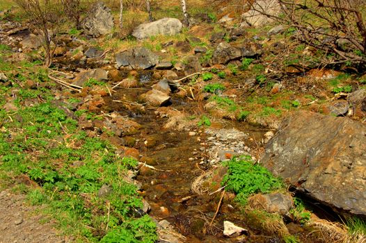 Mountain stream flowing through a stony field. Altai, Russia, Siberia