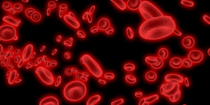 Bioscience or Biology Science as Biological Concept