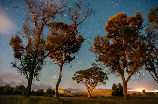 Romantic landscape under stars night sky