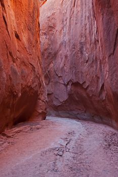 The Dryfork slot canyon is one of several slot canyons in the vicinity of Escalante. UT.