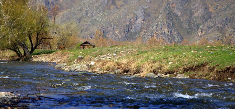 Lonely bush and an old house on the banks of rapid rivers surrounded by mountain ranges. Altai, Siberia, Russia.