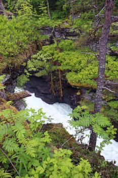 Beautigul powerful Glacial river in summer,  Norway