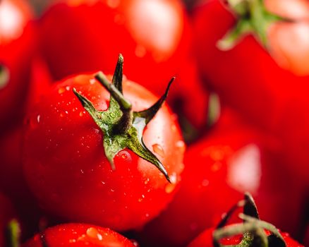 Ripe Cherry Tomatoes Background. Water Drops on Vegetables.