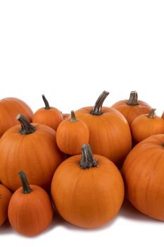 Heap of many orange pumpkins isolated on white background , Halloween concept