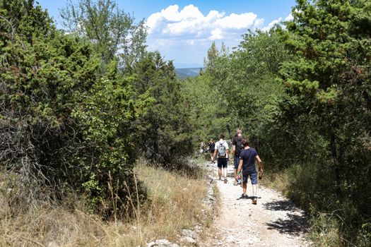 Walking in the national park makes you feel closer to the nature