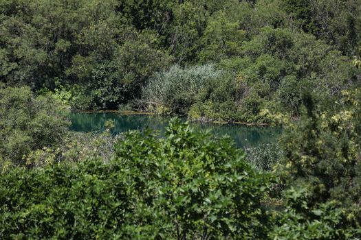 Walking in the national park makes you feel closer to the nature