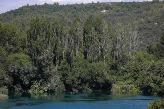 Walking in the national park makes you feel closer to the nature