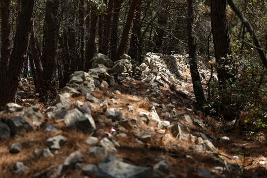 Ridge of stones somewhere in the forests of Croatia