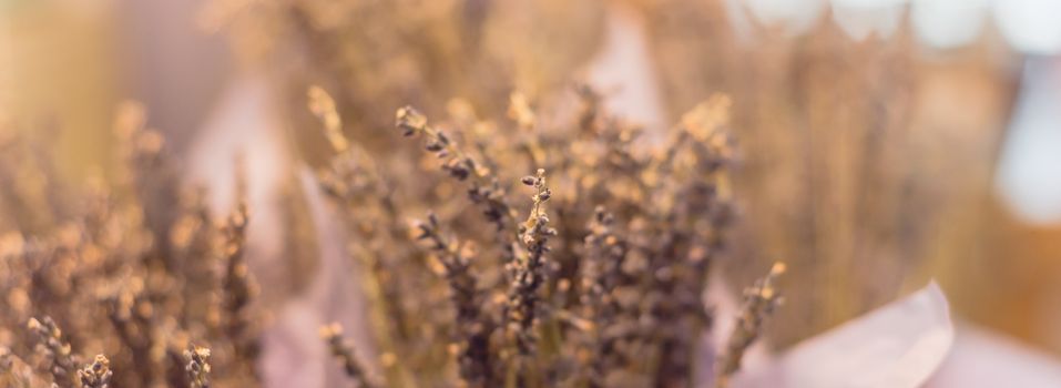 Panorama view dried lavender bouquet at local shop in Gainesville, Texas, America. Romantic flower in paper wrapper