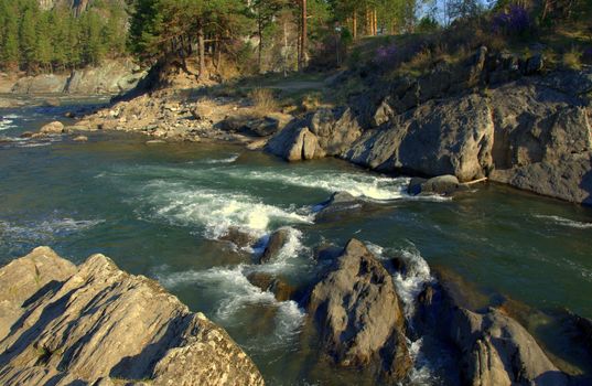 The amazing river Chemal, carries its turquoise waters through the rocky shores. Altai Mountains, Siberia, Russia.