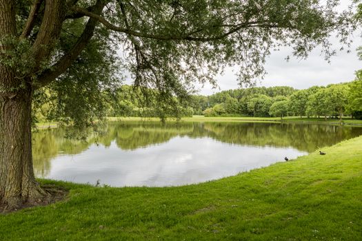 big garden in a park in holland with green trees and small pond 