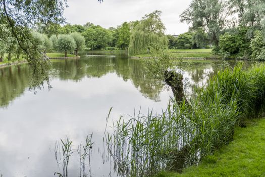 big garden in a park in holland with green trees and small pond 