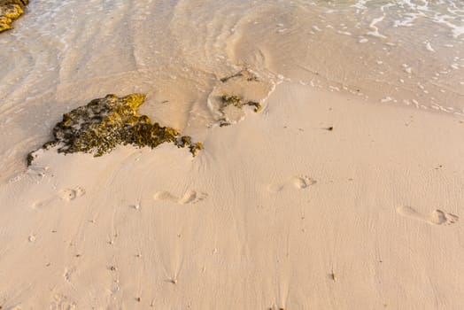 Human footsteps and rocks in the sand sea or ocean.